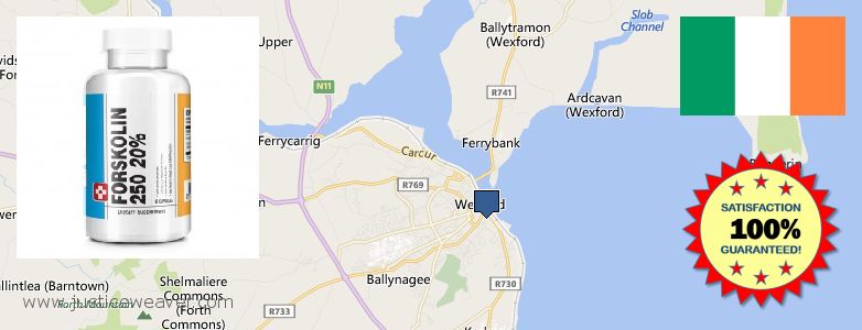 Where Can I Buy Forskolin Diet Pills online Loch Garman, Ireland