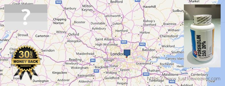 Purchase Forskolin Diet Pills online London, UK Where to Purchase Forskolin Diet Pills online London, UK