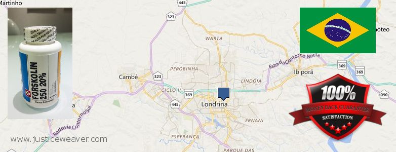 Wo kaufen Forskolin online Londrina, Brazil