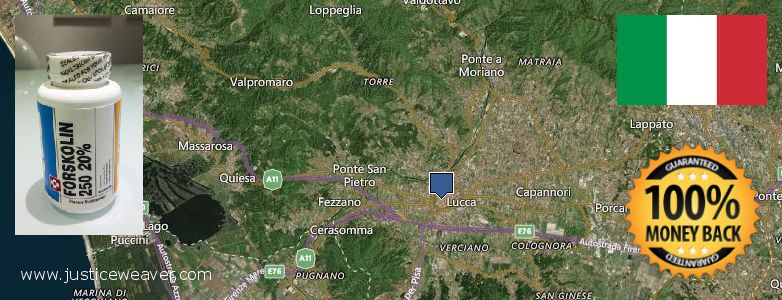Dove acquistare Forskolin in linea Lucca, Italy