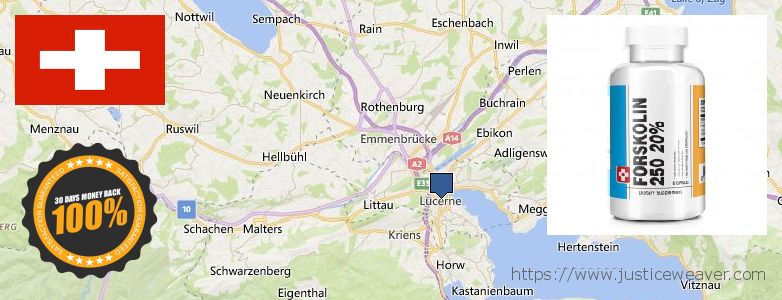 Dove acquistare Forskolin in linea Lucerne, Switzerland