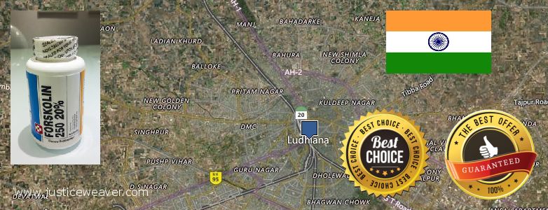कहॉ से खरीदु Forskolin ऑनलाइन Ludhiana, India