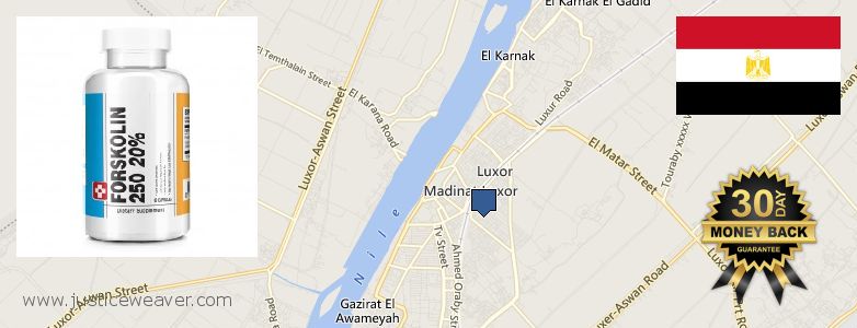 حيث لشراء Forskolin على الانترنت Luxor, Egypt