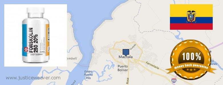 Dónde comprar Forskolin en linea Machala, Ecuador