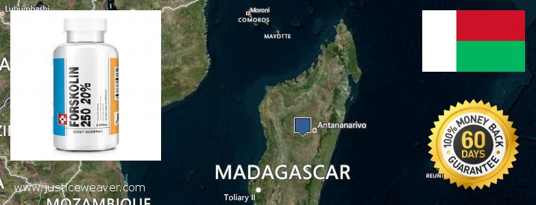Dimana tempat membeli Forskolin online Madagascar