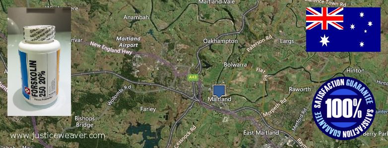 Αγορά Forskolin σε απευθείας σύνδεση Maitland, Australia Πού να αγοράσετε Forskolin σε απευθείας σύνδεση Maitland, Australia