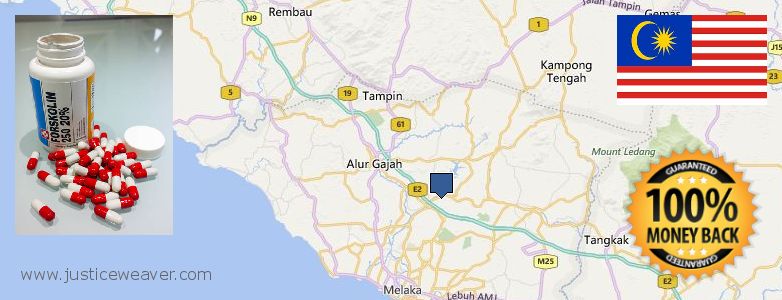 Where Can You Buy Forskolin Diet Pills online Malacca, Malaysia