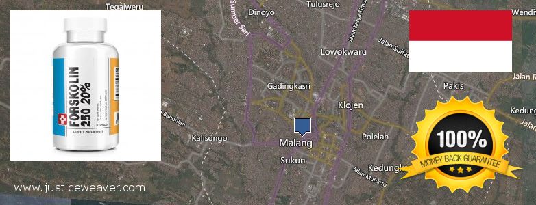 Dimana tempat membeli Forskolin online Malang, Indonesia
