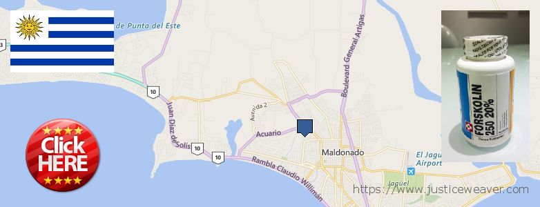 Where Can I Purchase Forskolin Diet Pills online Maldonado, Uruguay