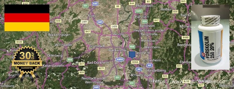 Wo kaufen Forskolin online Mannheim, Germany