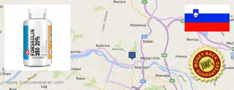 Where to Buy Forskolin Diet Pills online Maribor, Slovenia