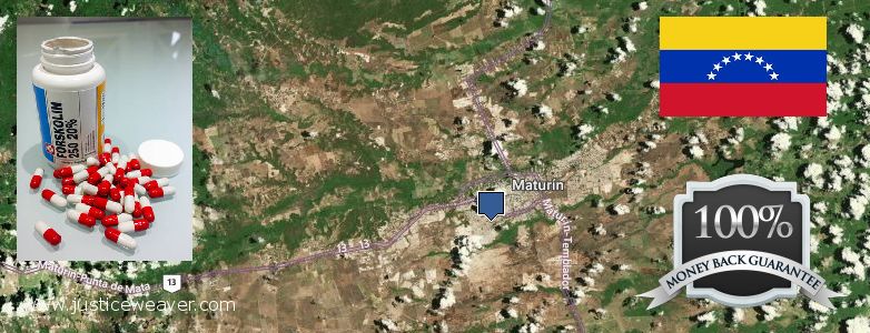 Dónde comprar Forskolin en linea Maturin, Venezuela