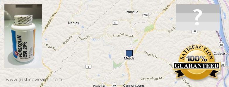Kopen Forskolin online Meads, USA Waar te koop Forskolin online Meads, USA