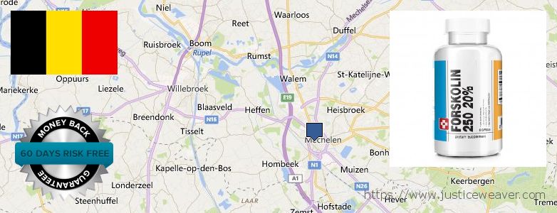 Waar te koop Forskolin online Mechelen, Belgium