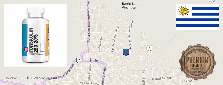 Where Can I Buy Forskolin Diet Pills online Melo, Uruguay