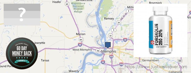 Dimana tempat membeli Forskolin online Memphis, USA
