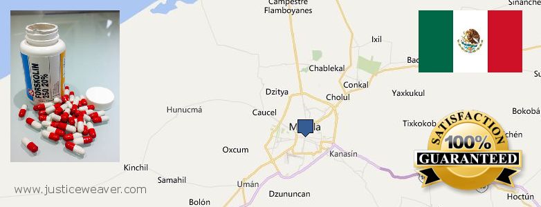 Dónde comprar Forskolin en linea Merida, Mexico