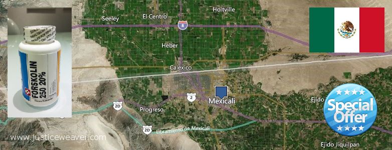 Comprar Forskolin en linea Mexicali, Mexico Dónde comprar Forskolin en linea Mexicali, Mexico