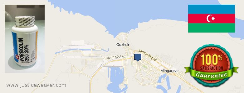 Buy Forskolin Diet Pills online Mingelchaur, Azerbaijan Where to Buy Forskolin Diet Pills online Mingelchaur, Azerbaijan