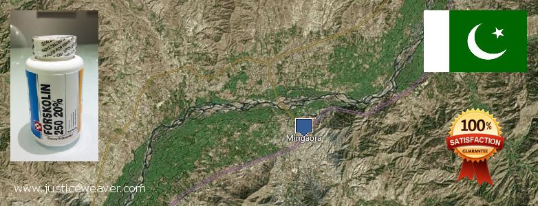 Purchase Forskolin Diet Pills online Mingora, Pakistan Where to Buy Forskolin Diet Pills online Mingora, Pakistan