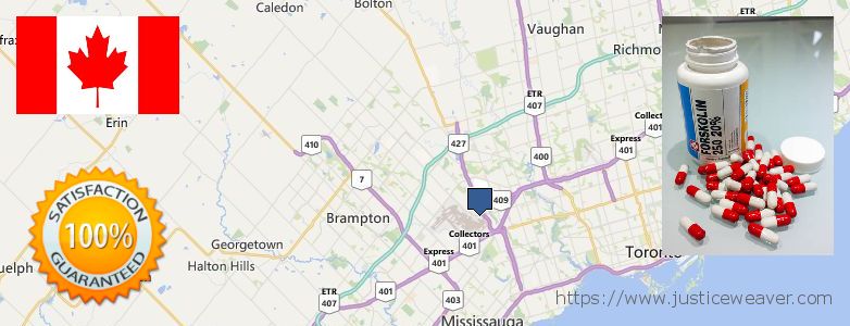 Où Acheter Forskolin en ligne Mississauga, Canada