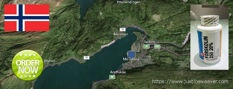 Where to Buy Forskolin Diet Pills online Mo i Rana, Norway