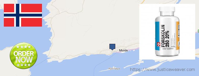 Purchase Forskolin Diet Pills online Molde, Norway Where to Purchase Forskolin Diet Pills online Molde, Norway