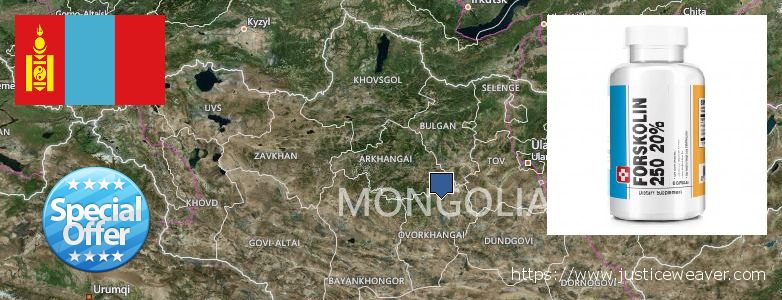 Hvor kjøpe Forskolin online Mongolia