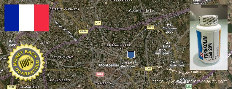 Where to Buy Forskolin Diet Pills online Montpellier, France