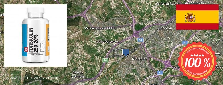 Comprar Forskolin en línia Mostoles, Spain on comprar Forskolin en línia Mostoles, Spain