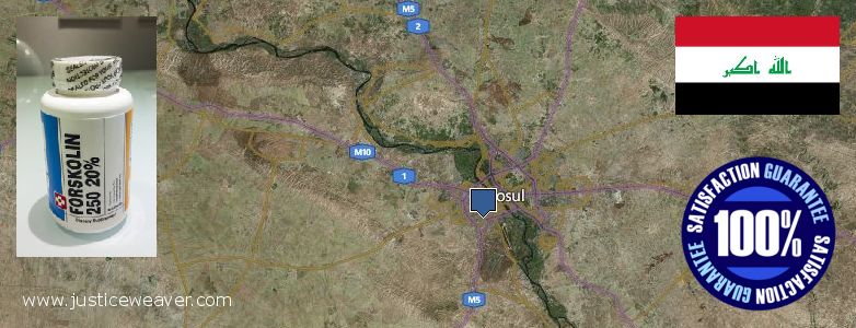 Nereden Alınır Forskolin çevrimiçi Mosul, Iraq