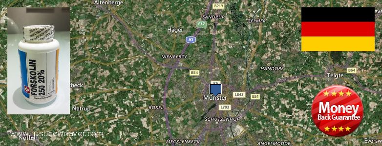 Wo kaufen Forskolin online Muenster, Germany