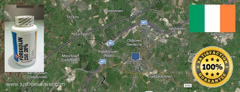 Where to Buy Forskolin Diet Pills online Naas, Ireland