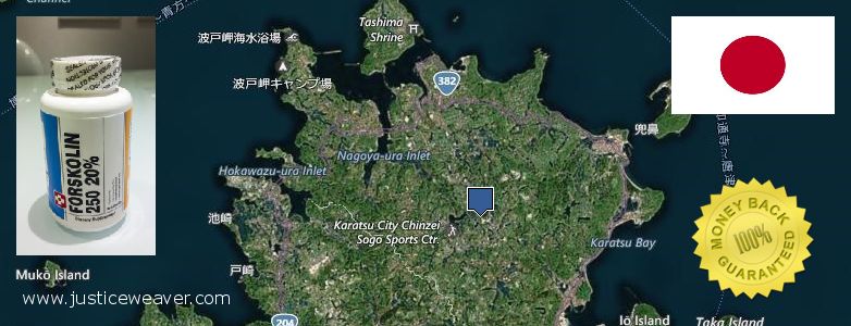 Buy Forskolin Diet Pills online Nagoya, Japan Purchase Forskolin Diet Pills online Nagoya, Japan