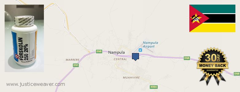 Onde Comprar Forskolin on-line Nampula, Mozambique