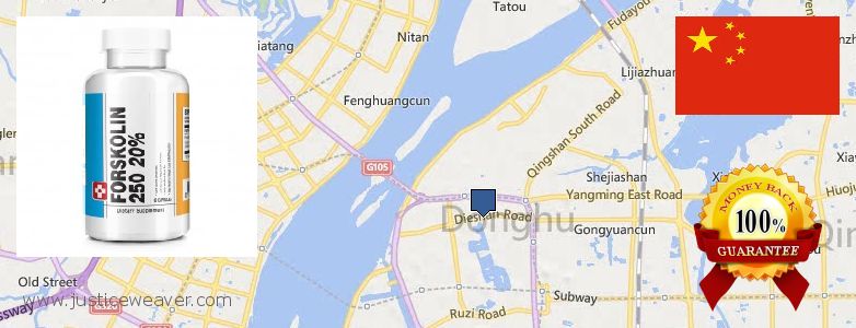 어디에서 구입하는 방법 Forskolin 온라인으로 Nanchang, China