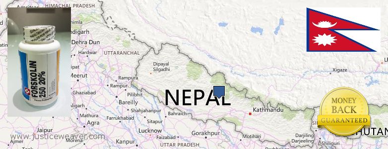 Var kan man köpa Forskolin nätet Nepal