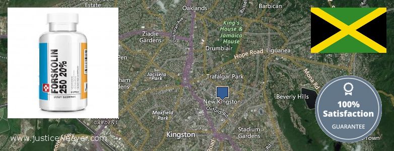 Where to Buy Forskolin Diet Pills online New Kingston, Jamaica