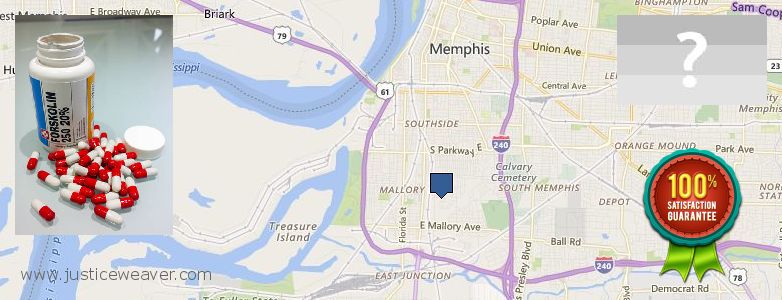 Dónde comprar Forskolin en linea New South Memphis, USA