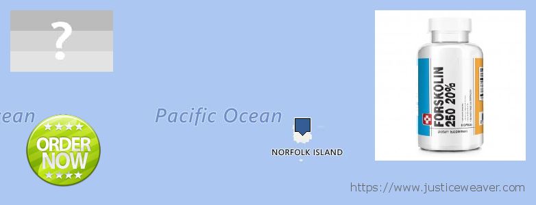 Dimana tempat membeli Forskolin online Norfolk Island