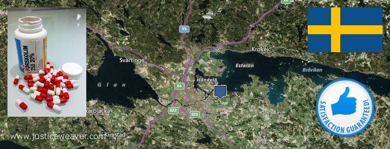 Jälleenmyyjät Forskolin verkossa Norrkoping, Sweden