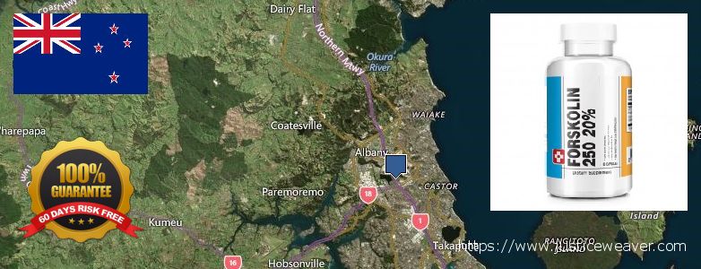 Buy Forskolin Diet Pills online North Shore, New Zealand Where to Buy Forskolin Diet Pills online North Shore, New Zealand