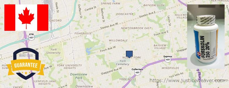 Où Acheter Forskolin en ligne North York, Canada