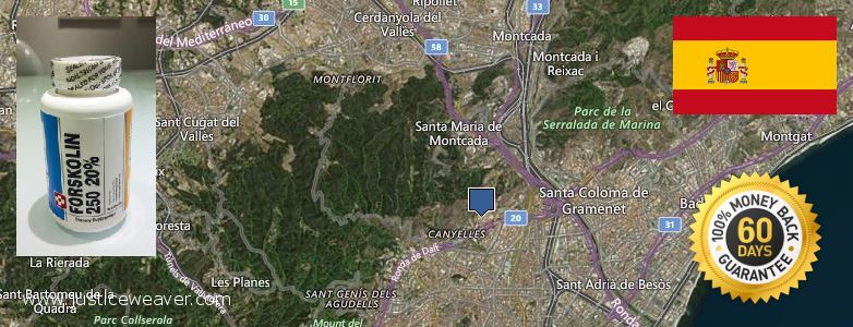 Comprar Forskolin en linea Nou Barris, Spain Dónde comprar Forskolin en linea Nou Barris, Spain