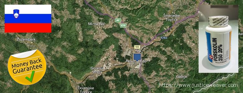 Hol lehet megvásárolni Forskolin online Novo Mesto, Slovenia