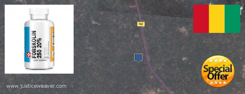 Where to Buy Forskolin Diet Pills online Nzerekore, Guinea