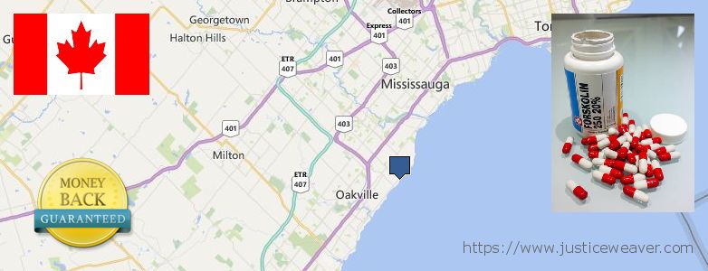 Where Can You Buy Forskolin Diet Pills online Oakville, Canada