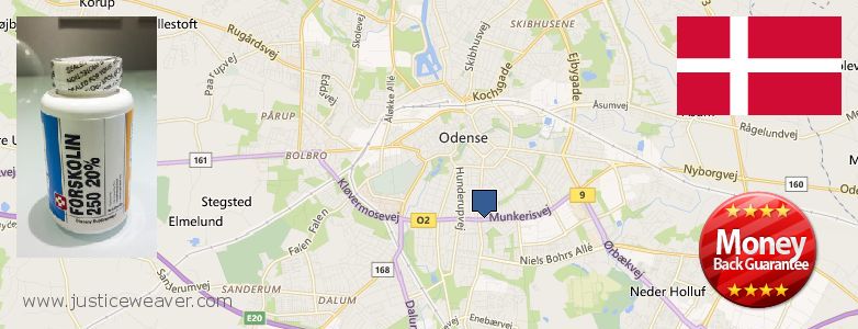 Hvor kan jeg købe Forskolin online Odense, Denmark
