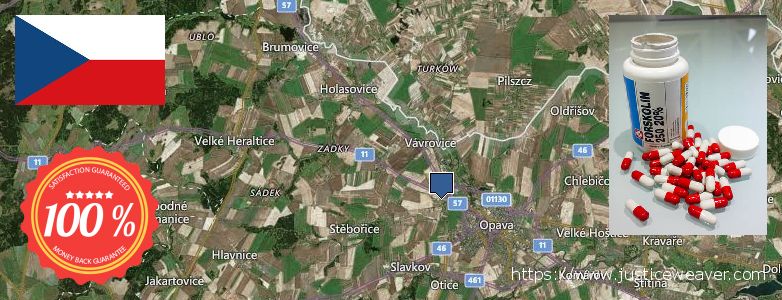 Къде да закупим Forskolin онлайн Opava, Czech Republic