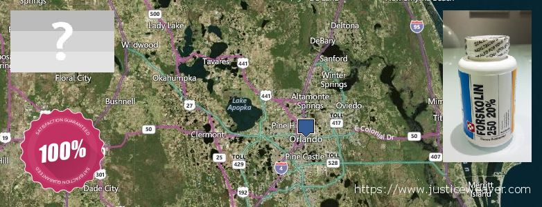 Where to Buy Forskolin Diet Pills online Orlando, USA